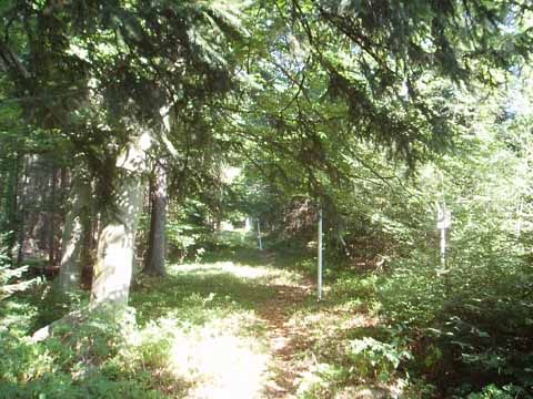 Foto 49